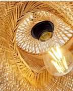 SUSPENSION | NIDO