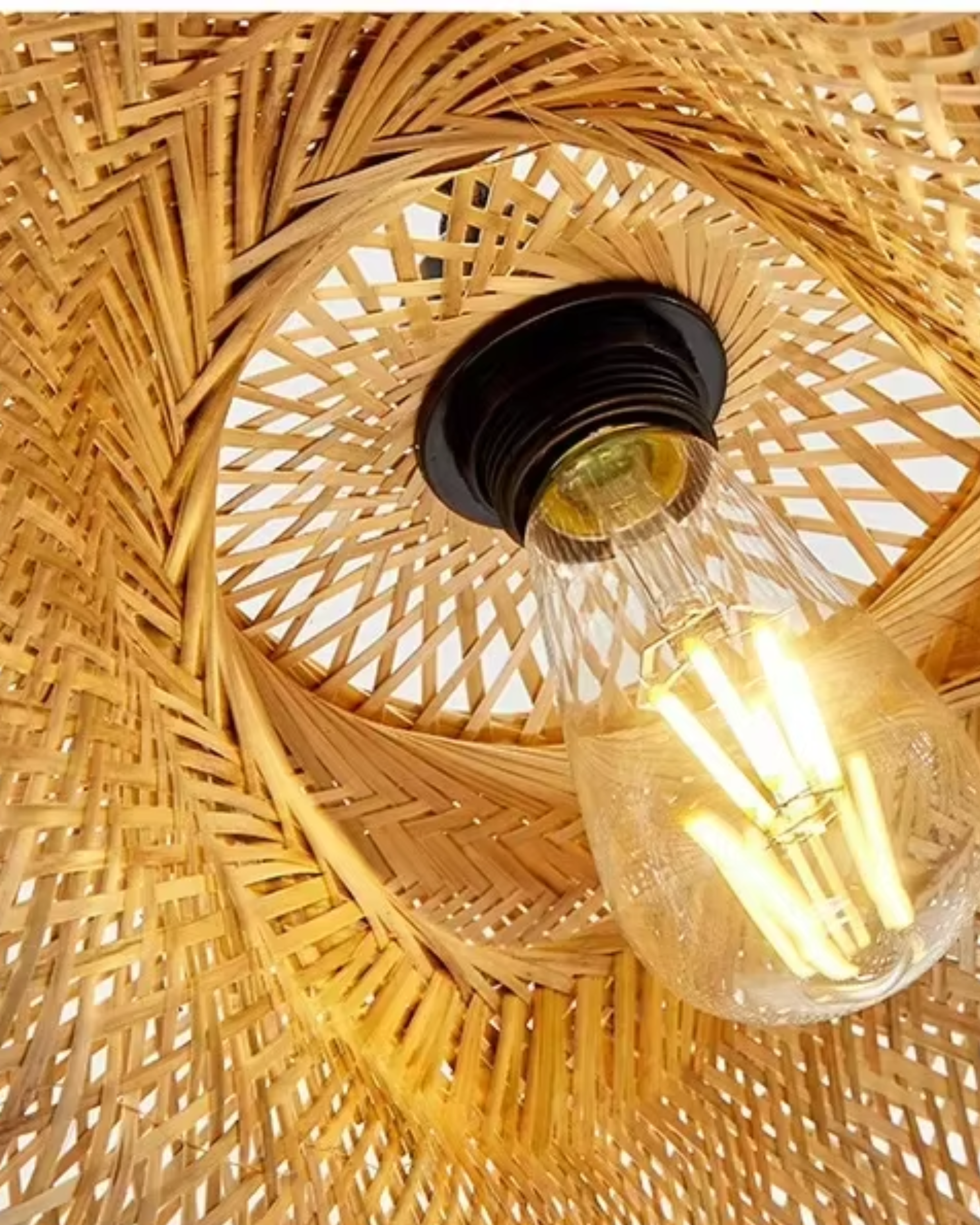 SUSPENSION | NIDO